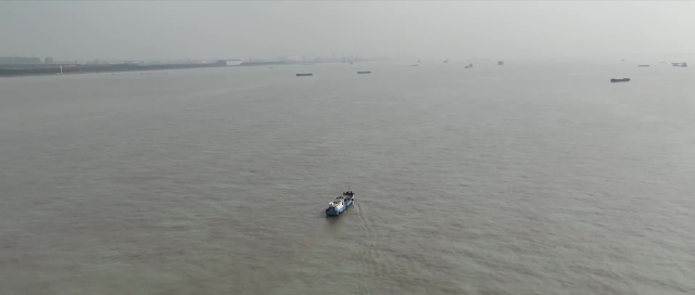 靖江16头江豚集体出游