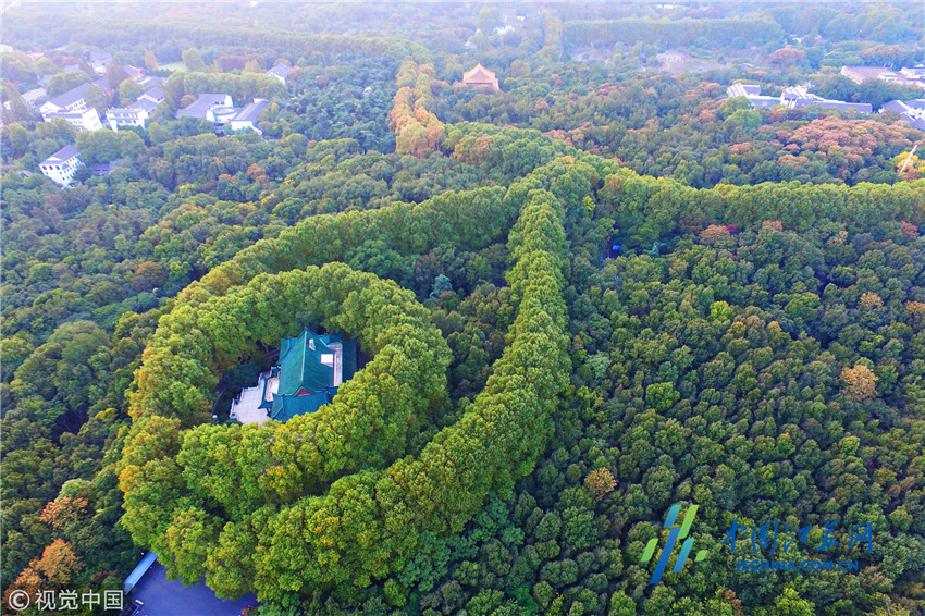 环状的梧桐呈一个水滴状包围着美龄宫,宛若一条坠着蓝宝石的多彩项链
