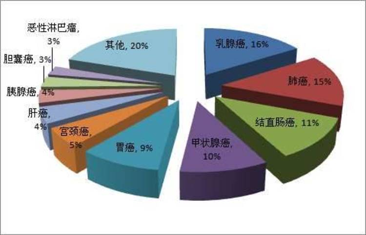 中国人口年龄结构图_苏州人口年龄比例