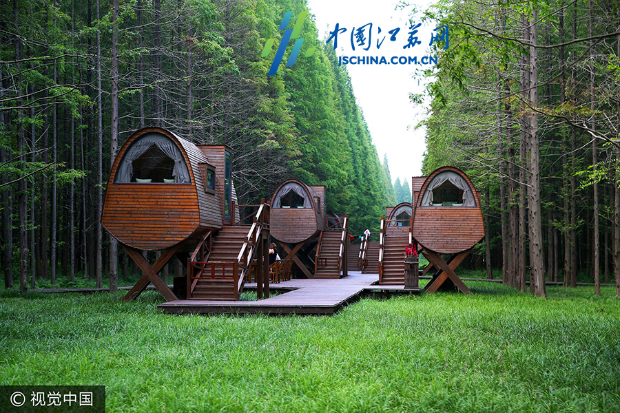 航拍盐城黄海海滨国家森林公园 满目苍翠美如