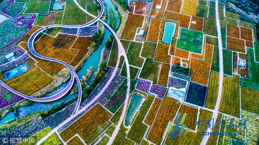 江苏宿迁：三台山多彩森林_江苏国际在线