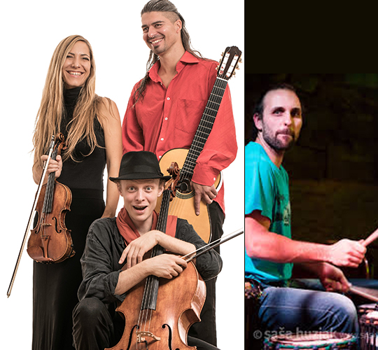 WILD-STRINGS-TRIO.jpg