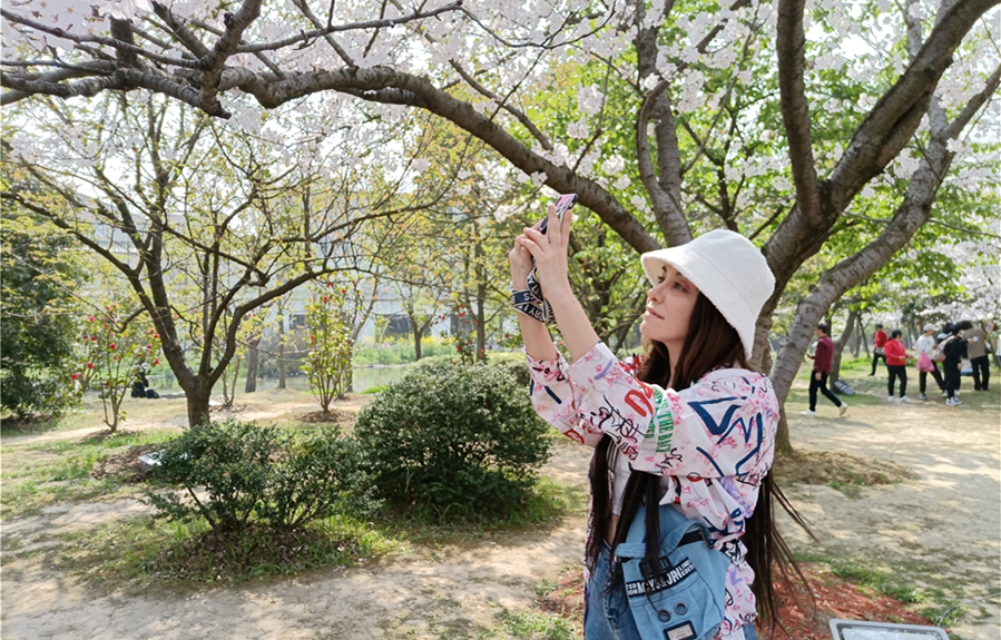 外籍粉丝在樱树下拍照_副本.jpg