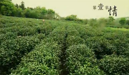 未标题-25.jpg