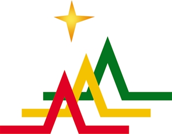 本田思域r新增cvt_城快新增_新增利税(纯收入)(2)