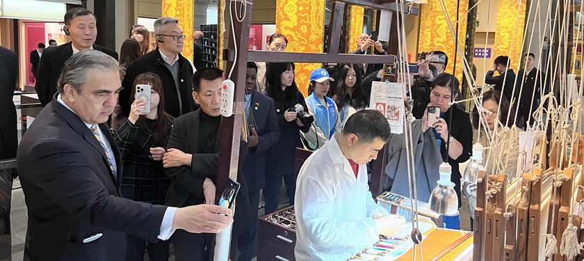 驻华使节参访团深度体验南京 在文化行走中感知高质量发展之路