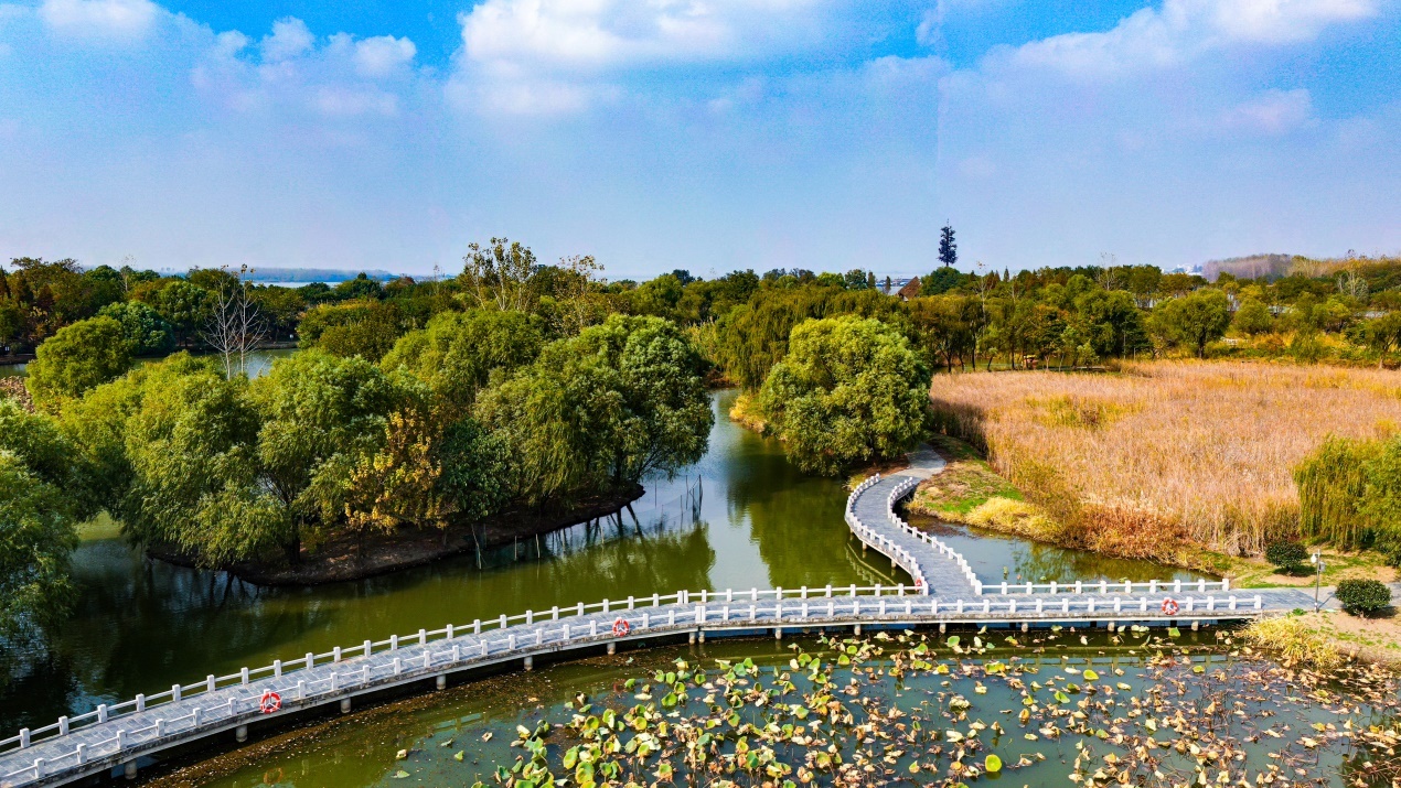 位于江苏扬州生态科技新城的凤凰岛国家湿地公园,是一个绿水环绕的