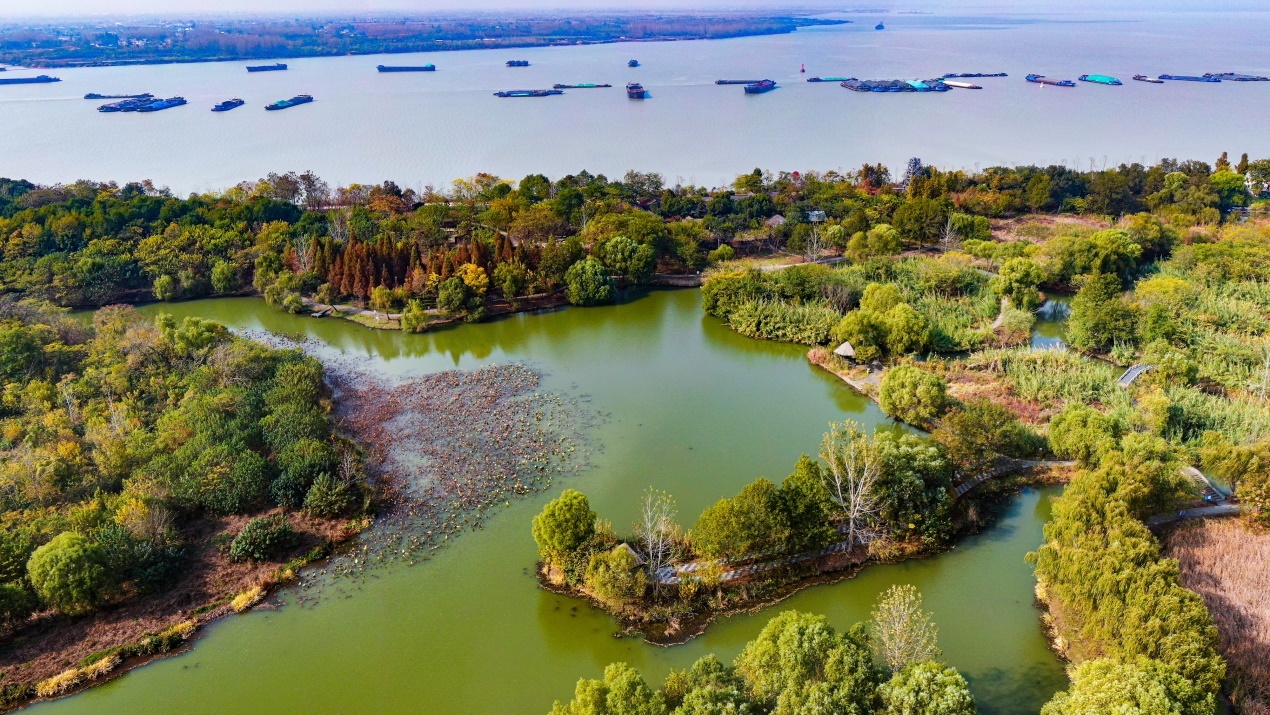 位于江苏扬州生态科技新城的凤凰岛国家湿地公园,是一个绿水环绕的