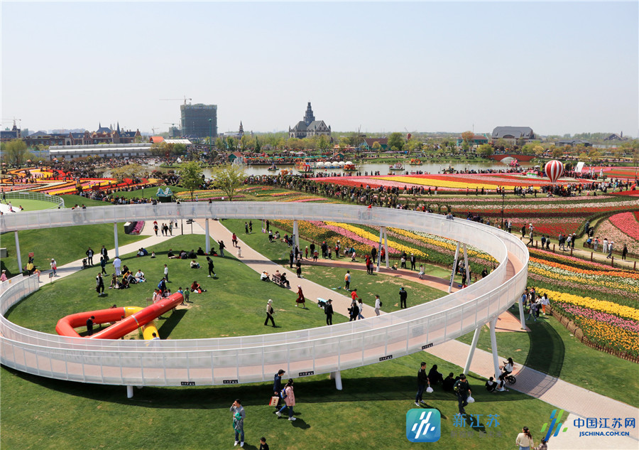 大丰荷兰花海景色如画人流如潮_江苏国际在线