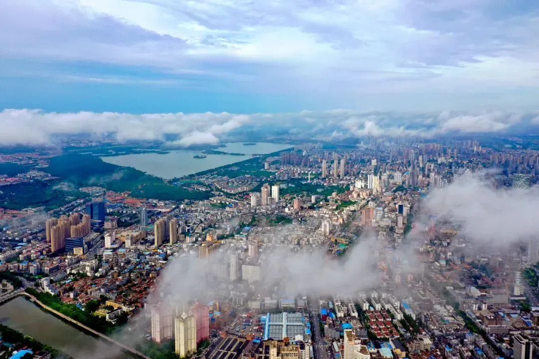 淮海经济区牵手粤港澳大湾区,双向奔赴共前行_江苏国际在线