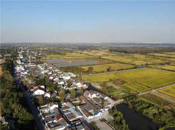 浦口区桥林街道供图