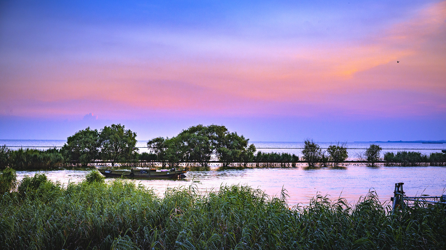 无锡西太湖湿地公园图片