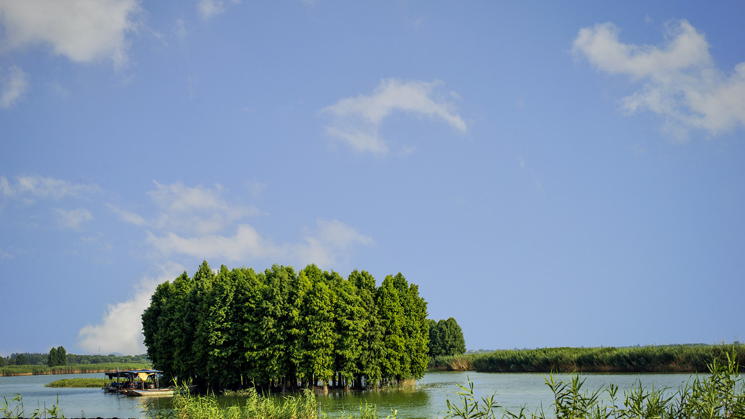 太湖大溪港省级湿地位于江苏省无锡市新吴区新安街道,地处无锡市东