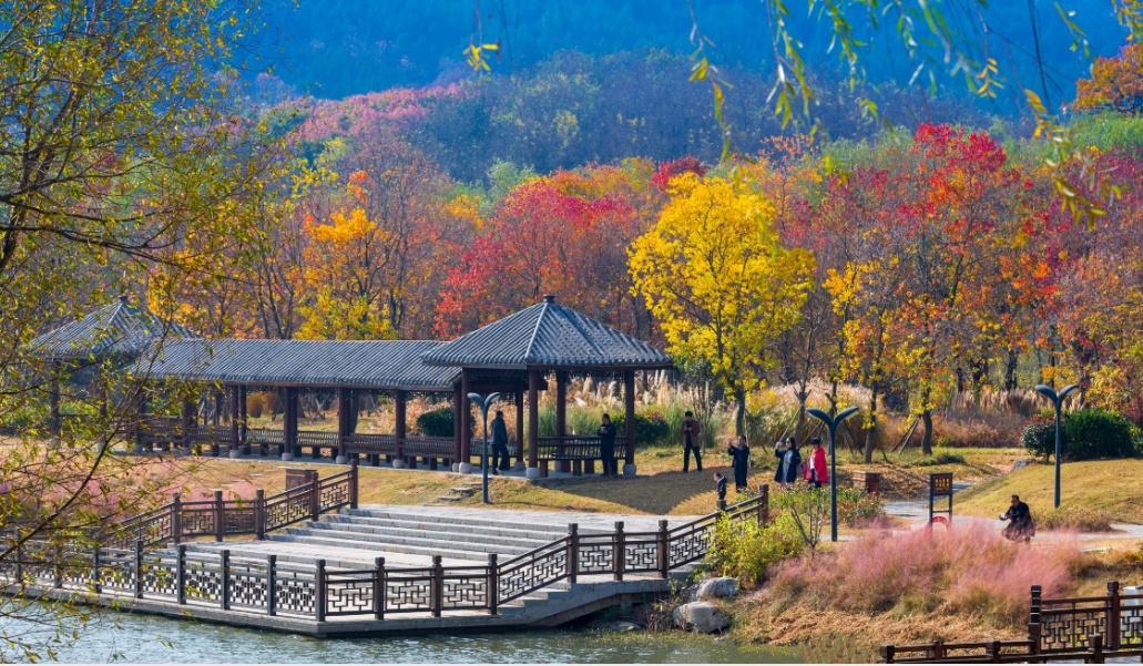 强国拍客作品精选丨邳州:艾山风光 山奇水秀