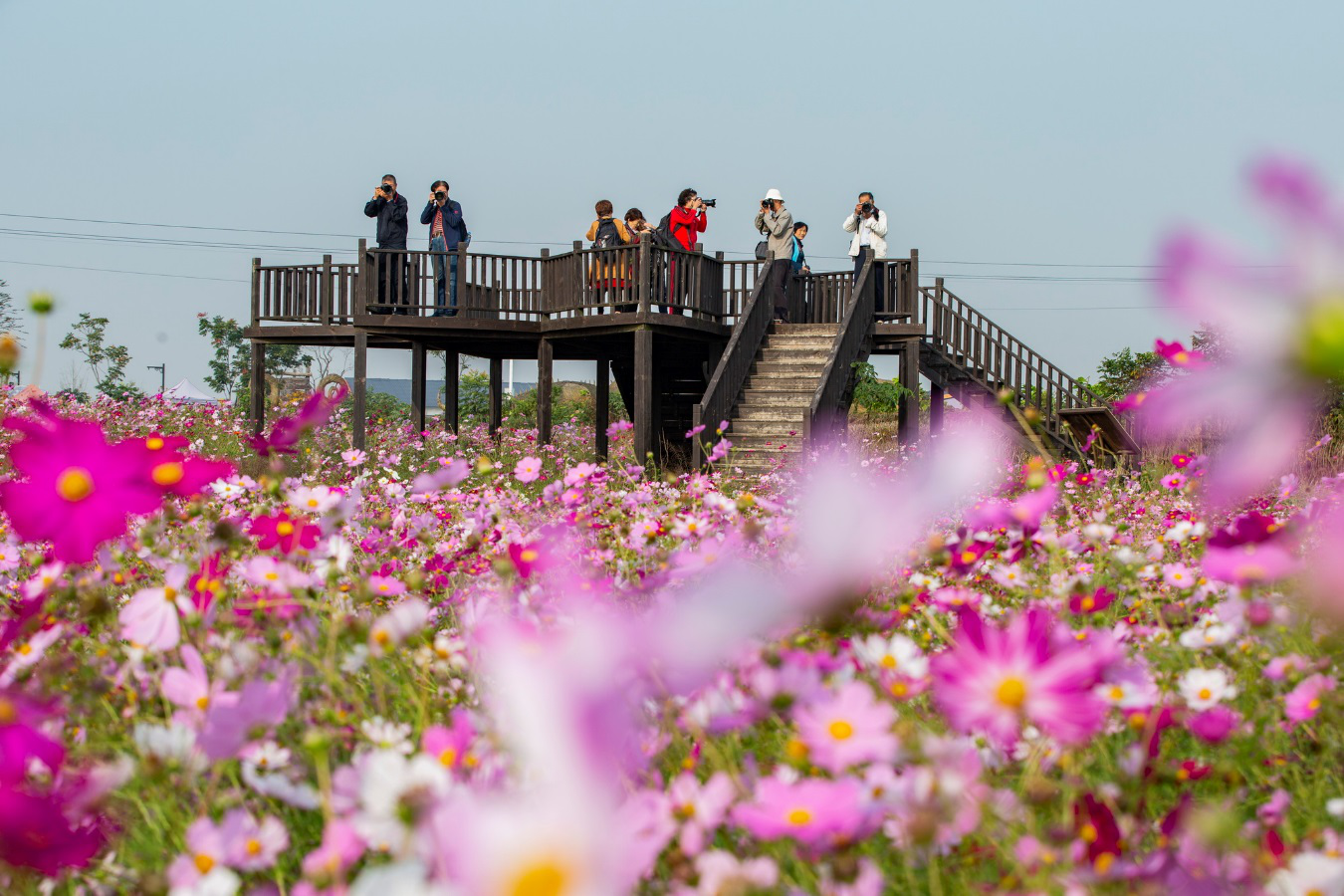 常州溧阳别桥原乡秋色依旧