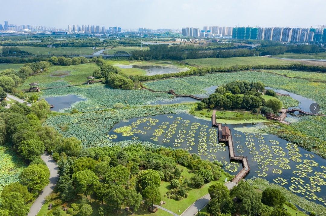 苏州黄桥:秋意渐浓看水乡
