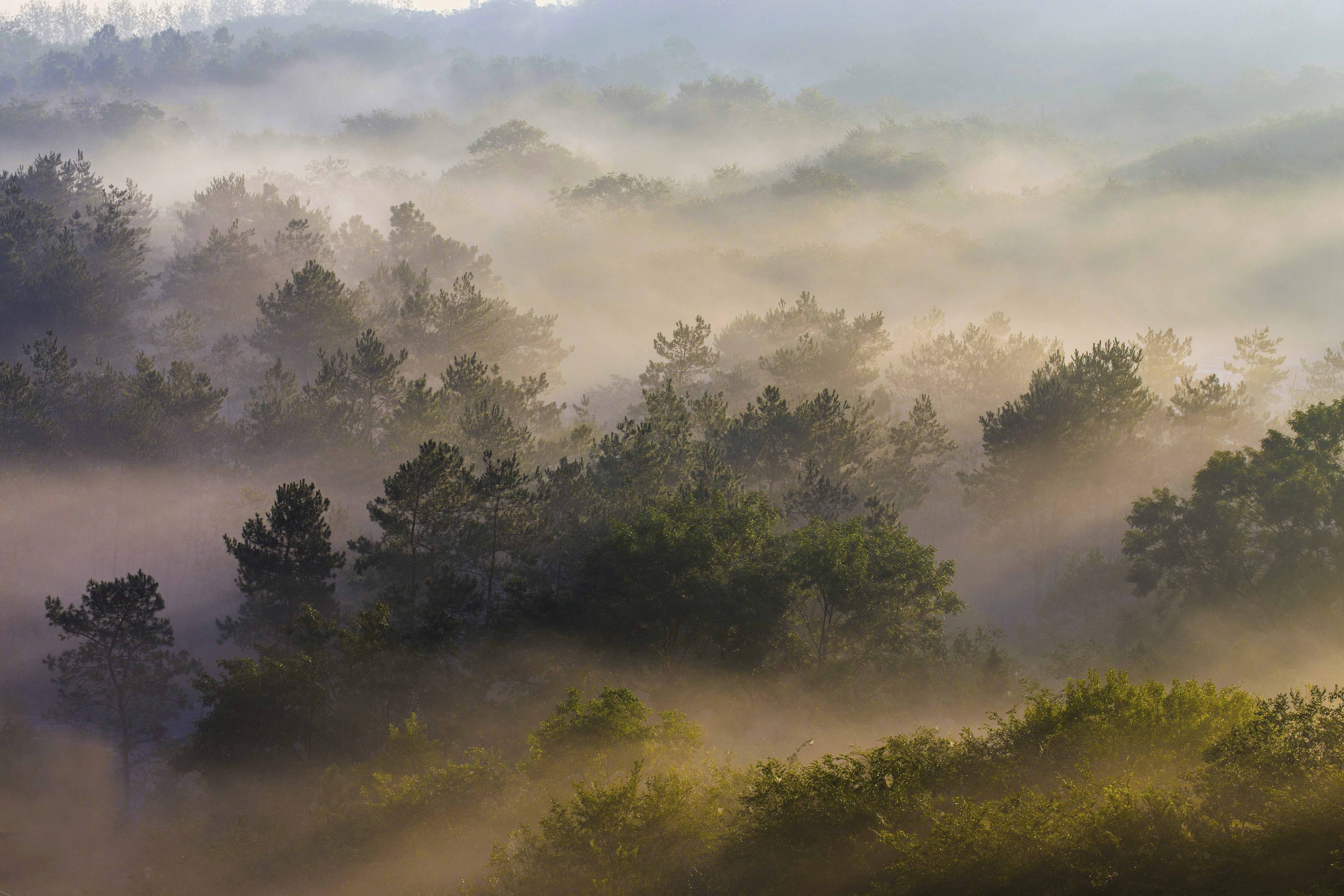 淮安天泉湖薄雾缥缈似仙境水光潋滟醉人心