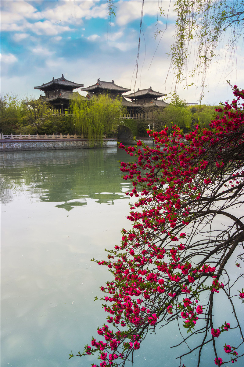扬州风景图片春天图片