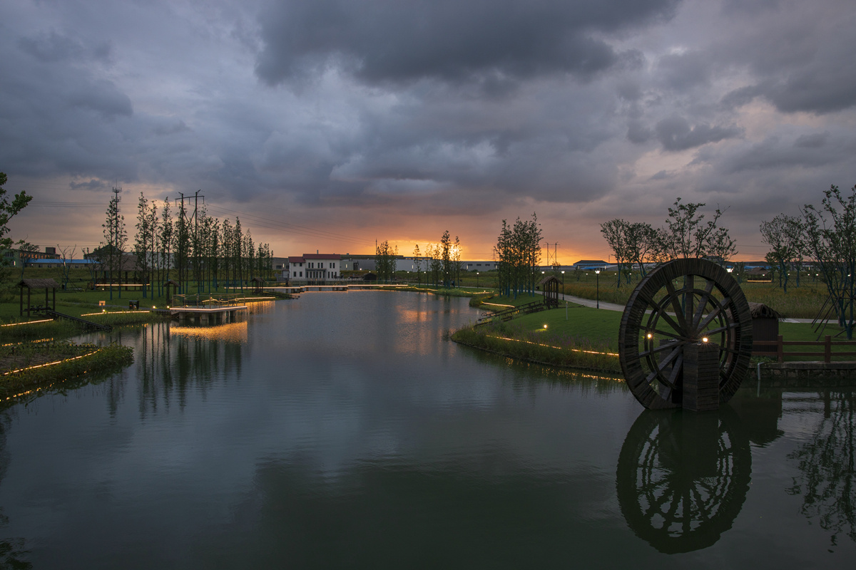 无锡前洲乡村振兴风光带上的醉美花海