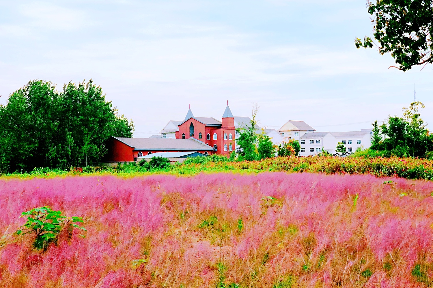 新沂窑湾多彩古镇缤纷冬日