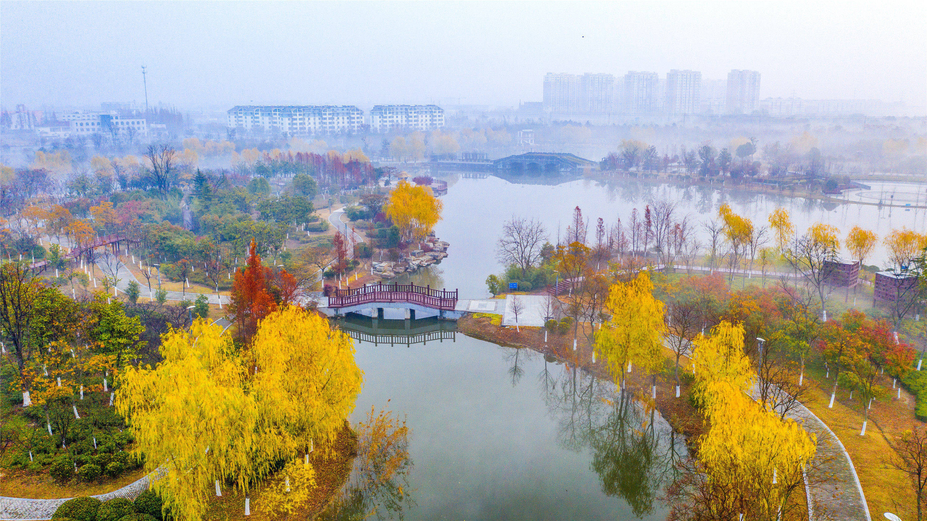 泗洪公园冬景如画