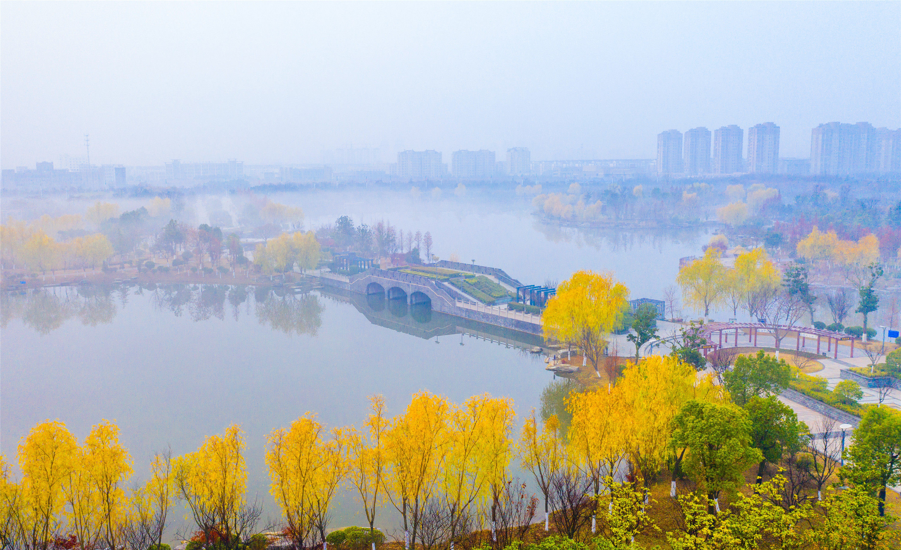 泗洪公園冬景如畫