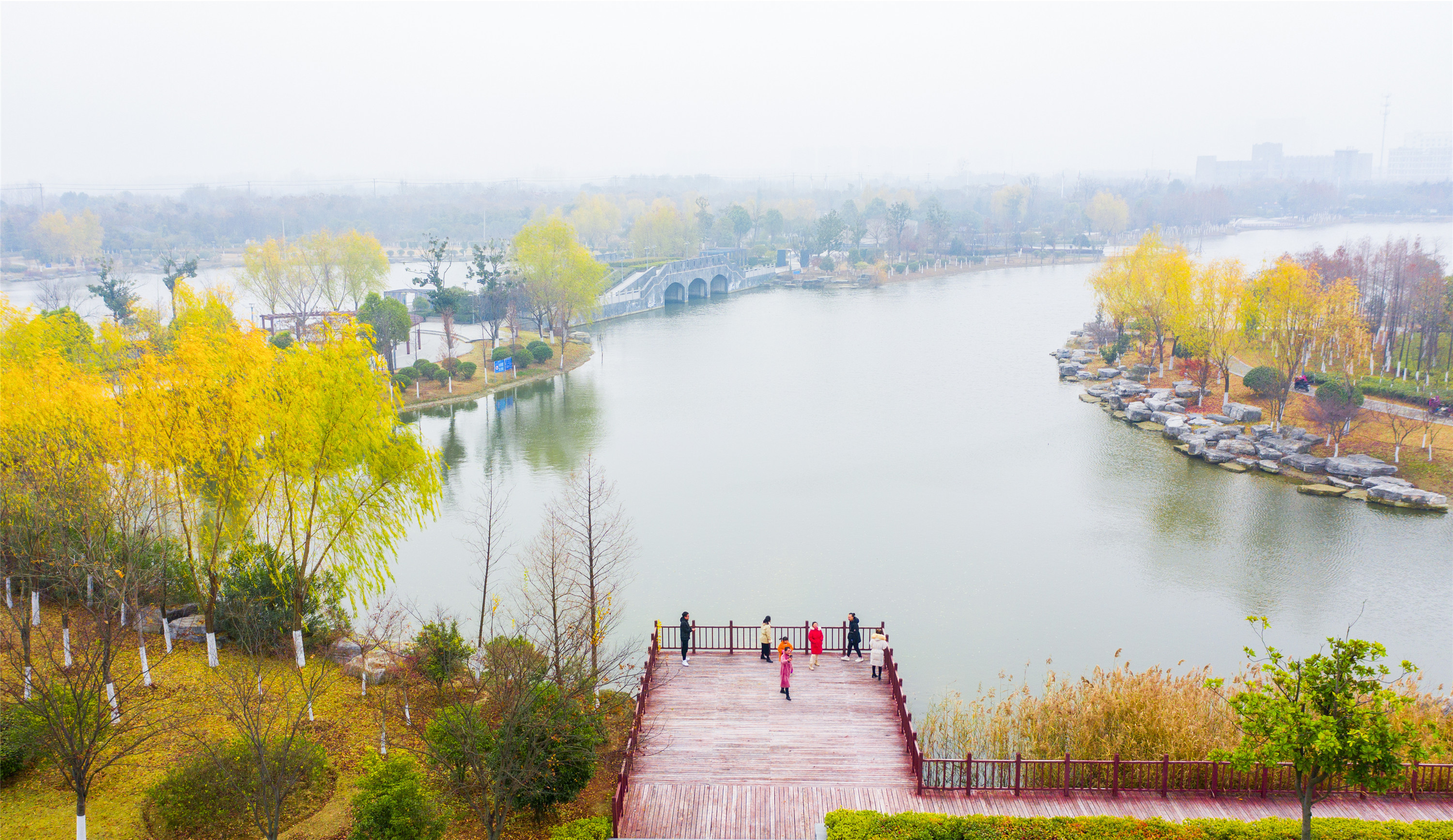 泗洪公园冬景如画