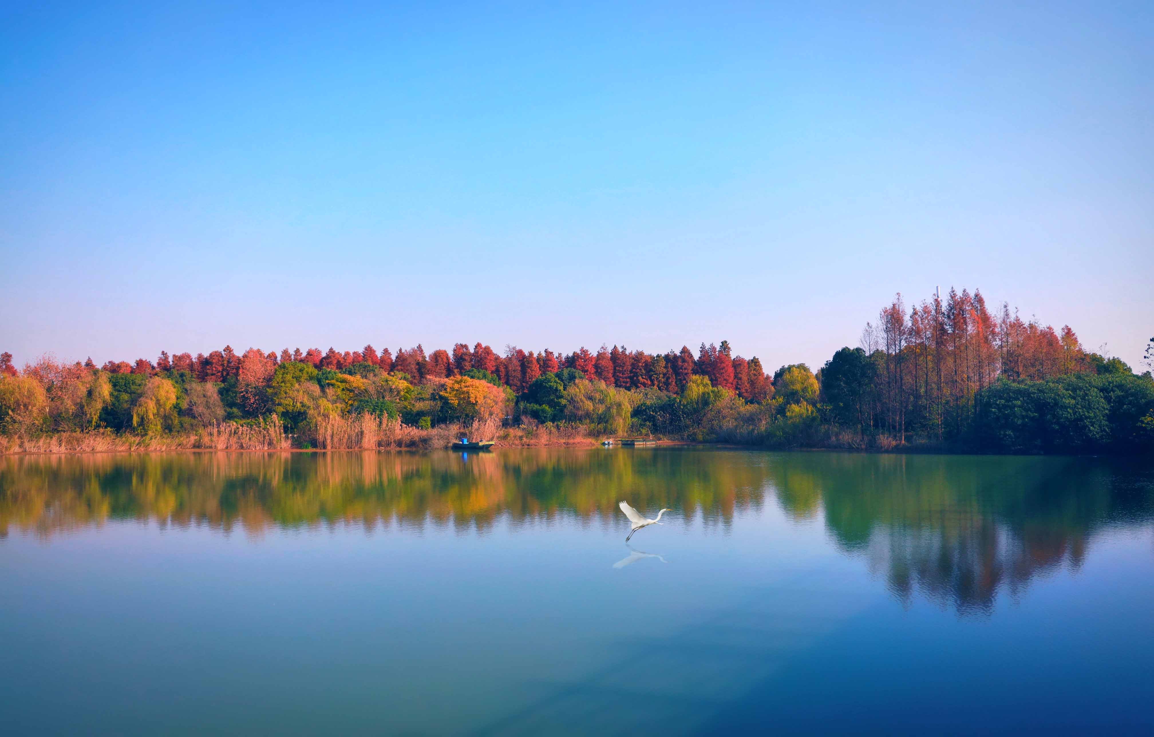 无锡滨湖:遇见马山五彩的冬