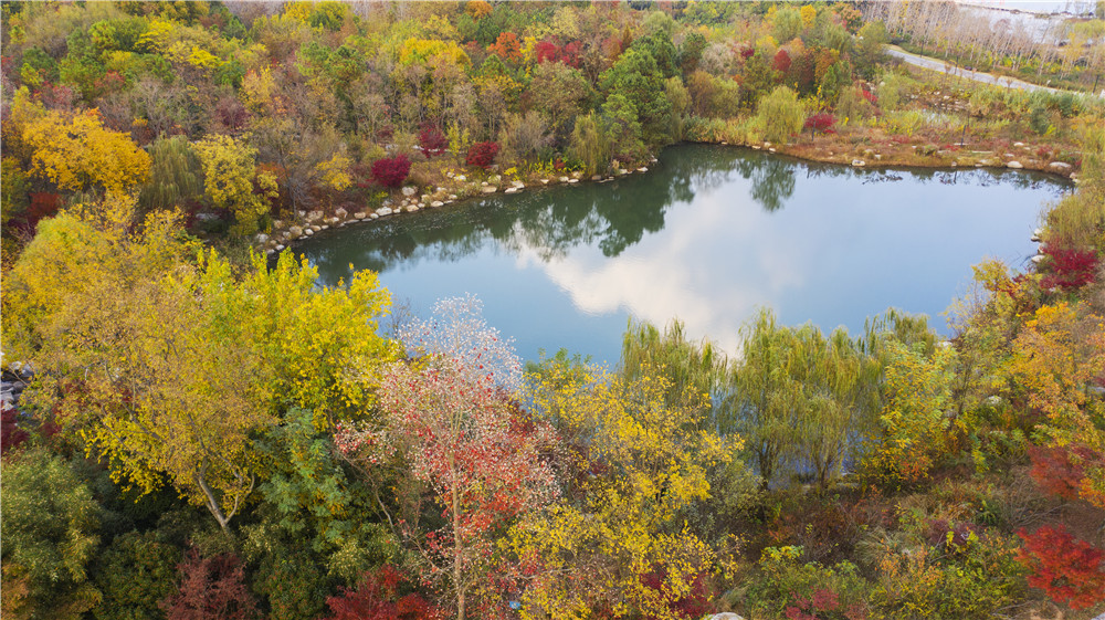 冬日三台山:抬头是画,低头为诗