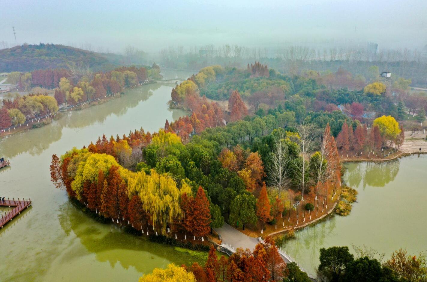 泗阳生态公园:绚丽冬日 色彩斑斓