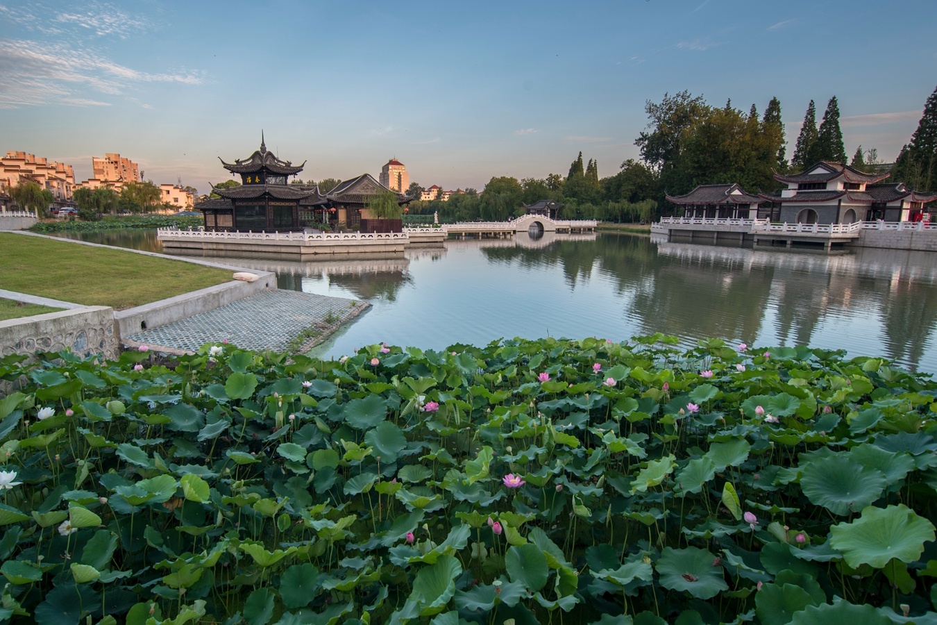 扬州荷花池公园:四季美景皆如画