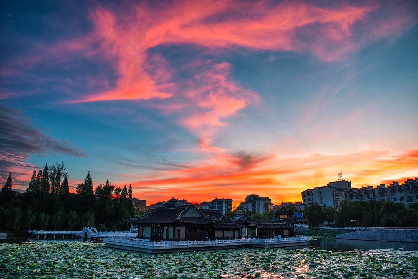 扬州荷花池公园:四季美景皆如画