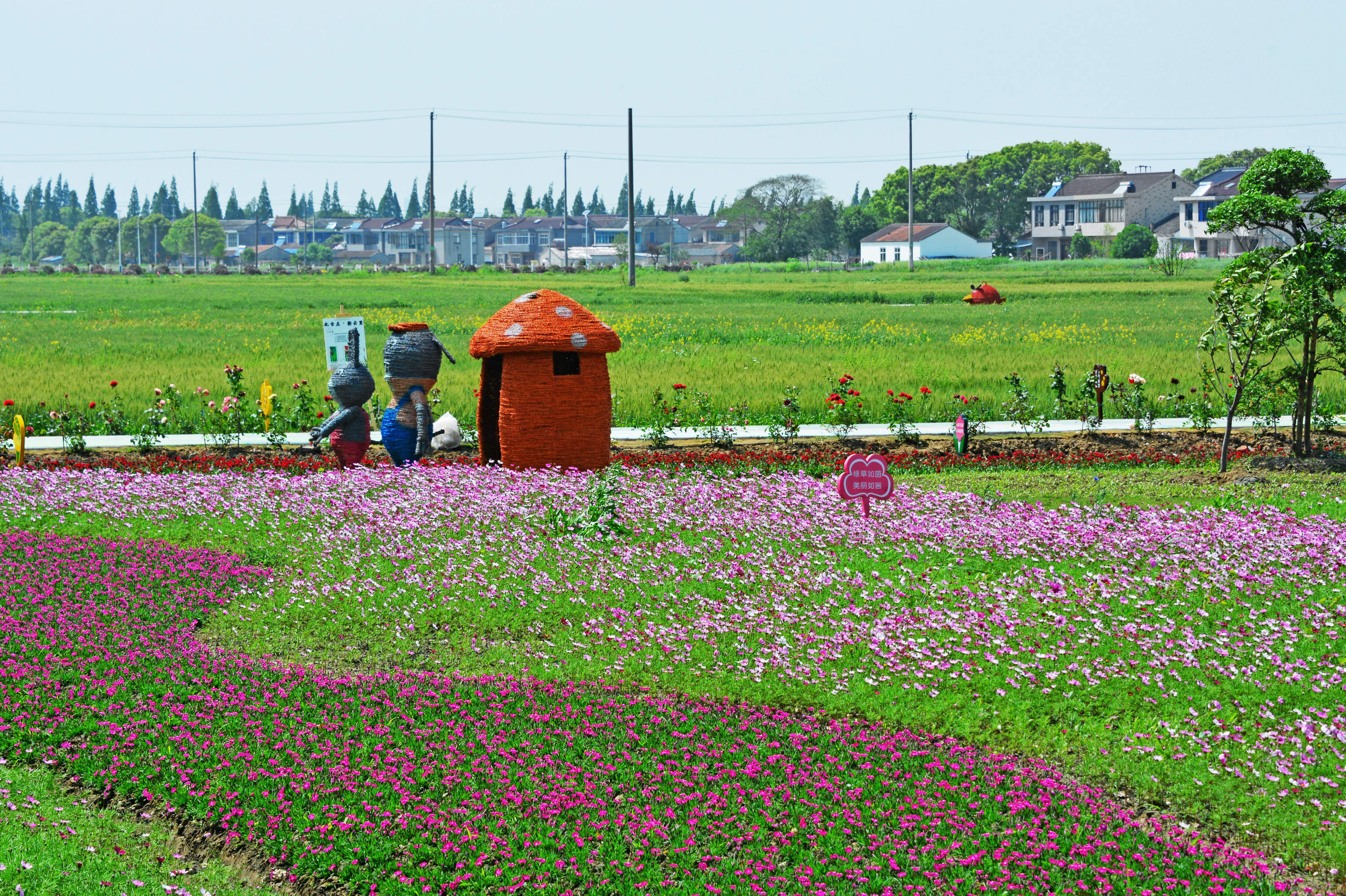 无锡东港镇港南村良田连片风景如画