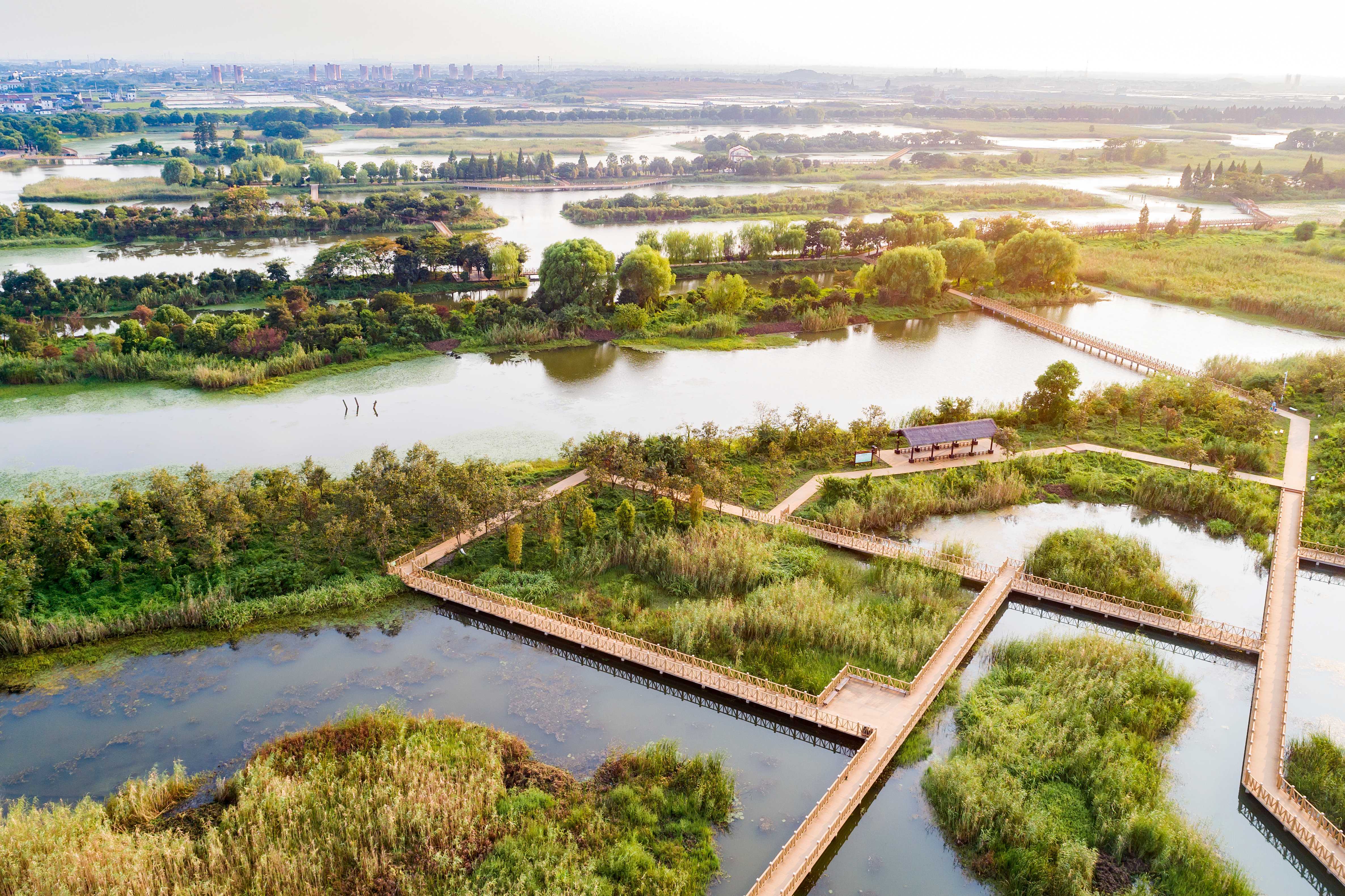 镇江湿地公园图片