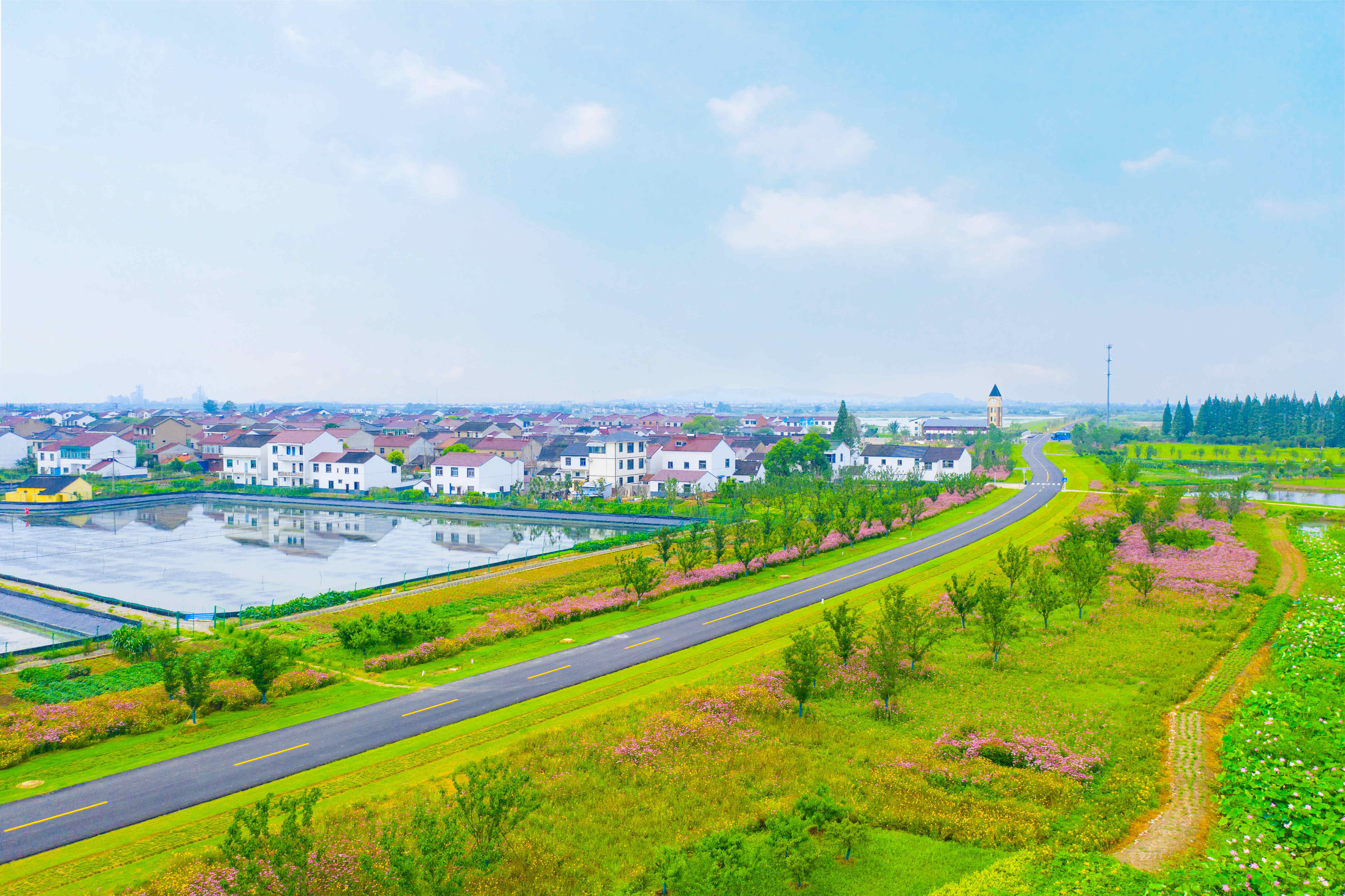 常州金坛:梦里水乡韵味浓