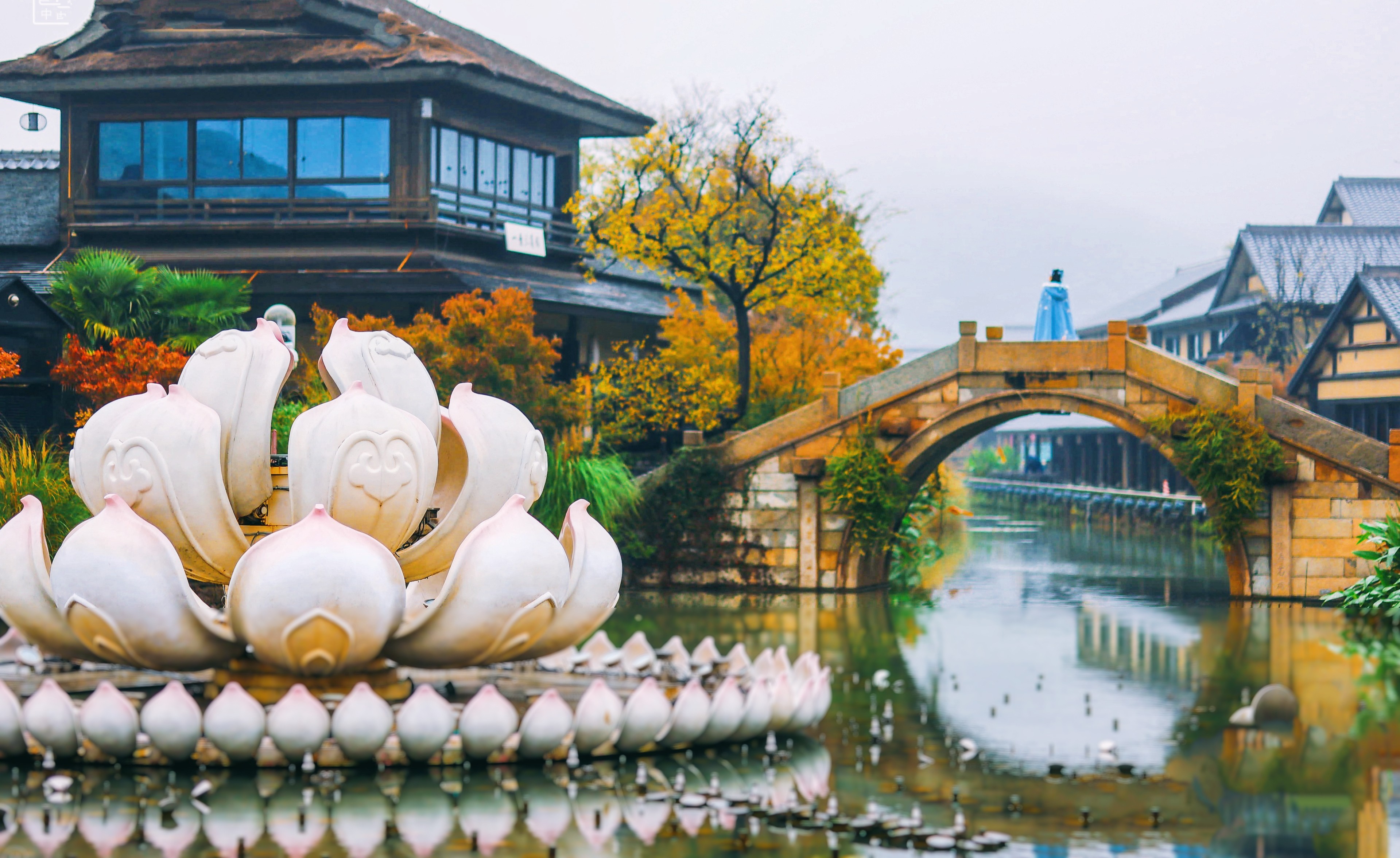 来拈花湾许你一场星光璀璨的浪漫邂逅