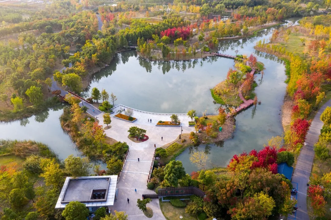 美丽江苏·每日一景丨南通崇川:狼山国家森林公园秋色美如画