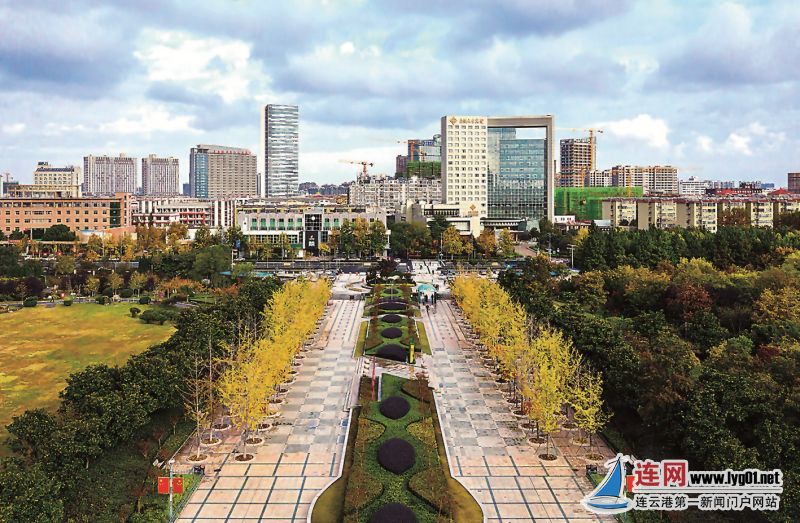 连云港雨后苍梧绿园层林尽染美不胜收