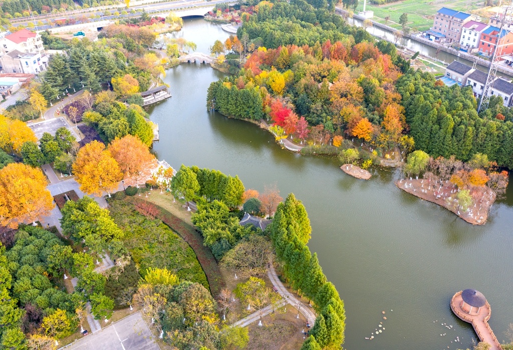 泰州靖江冬日暖阳美如画五彩斑斓悦时光