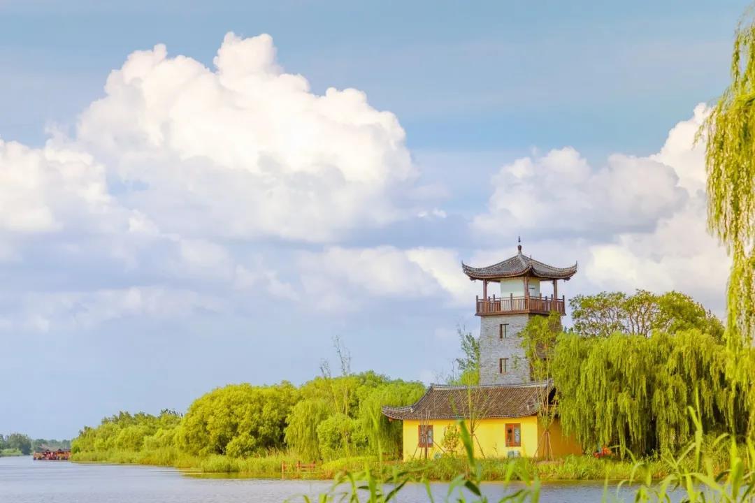 美丽江苏每日一景丨盐城建湖九龙口渔村临水风来阔海国无山落日迟