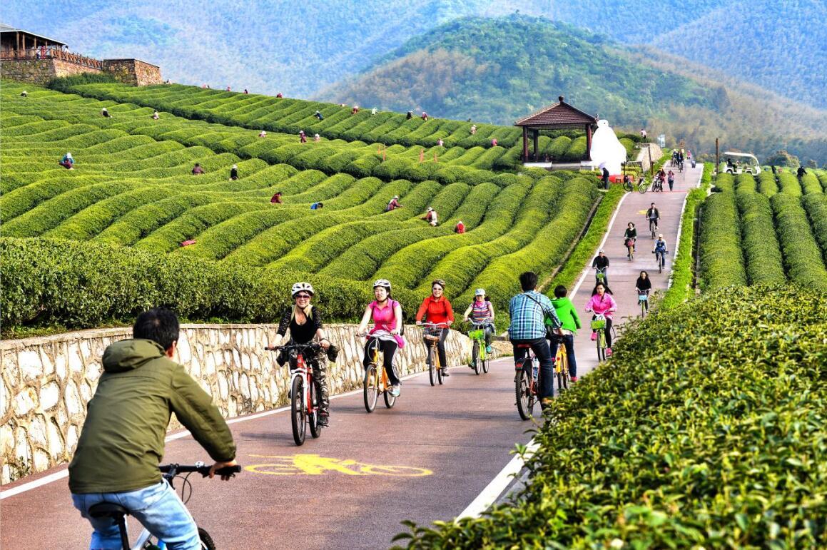 美丽江苏每日一景丨宜兴市龙池山自行车公园