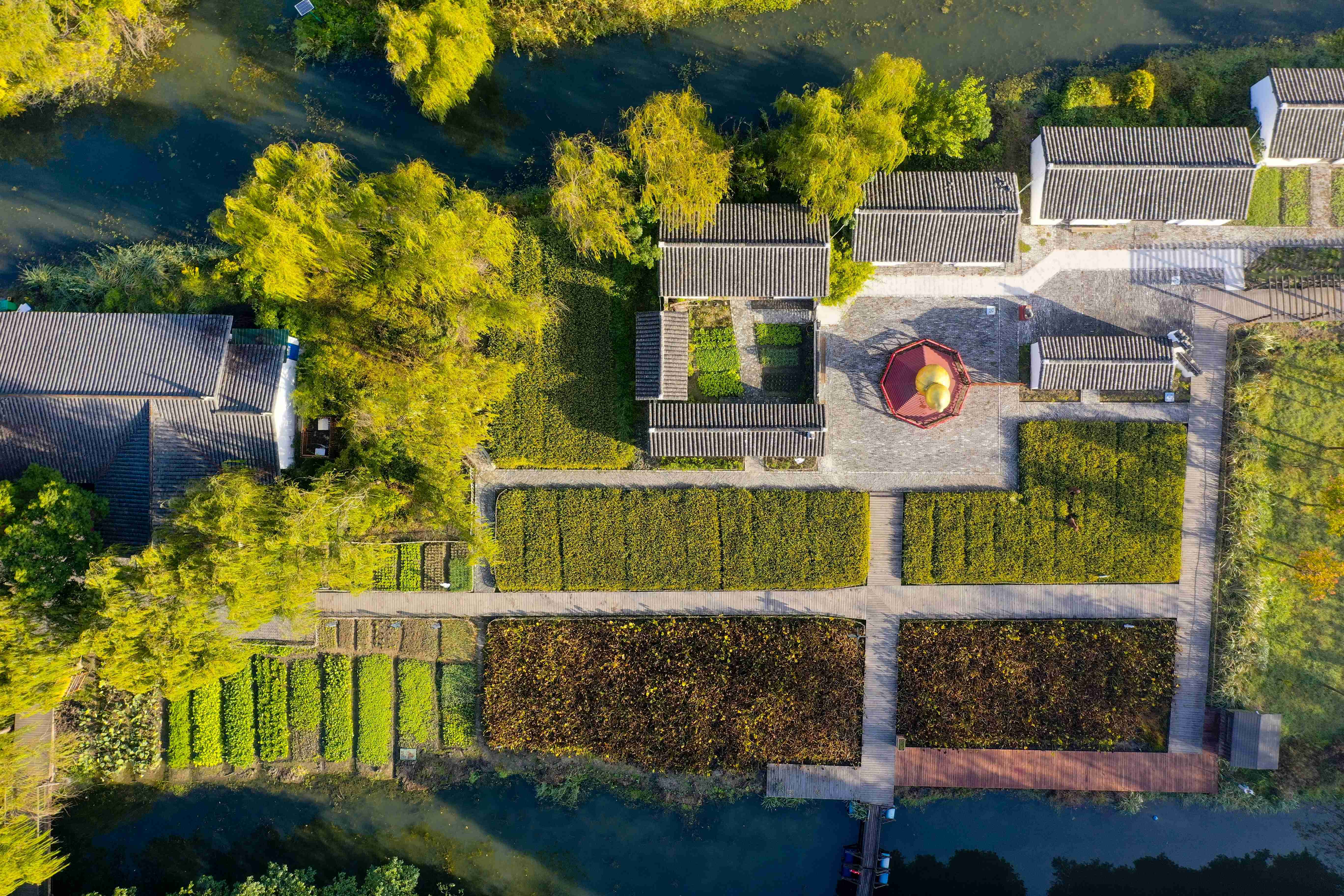 泰州姜堰区:溱湖秋意浓_江苏国际在线