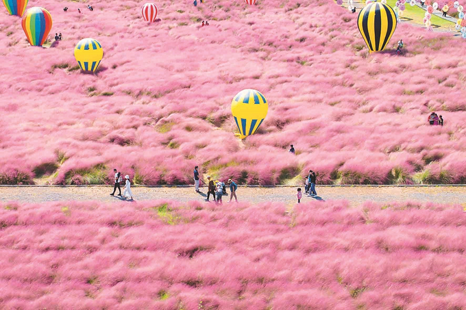 南京八卦洲陌上花渡